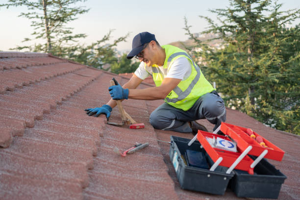 Quick and Trustworthy Emergency Roof Repair Services in Alachua, FL